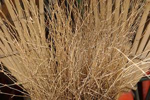 合格という最高の結果を導き出す為の努力