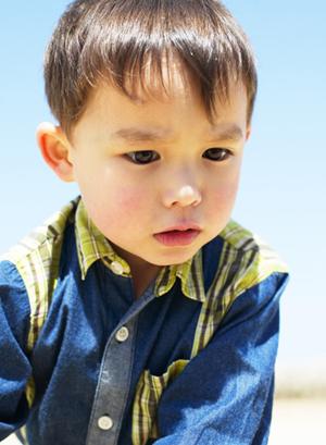 競馬に関わる仕事に就くための学校の紹介